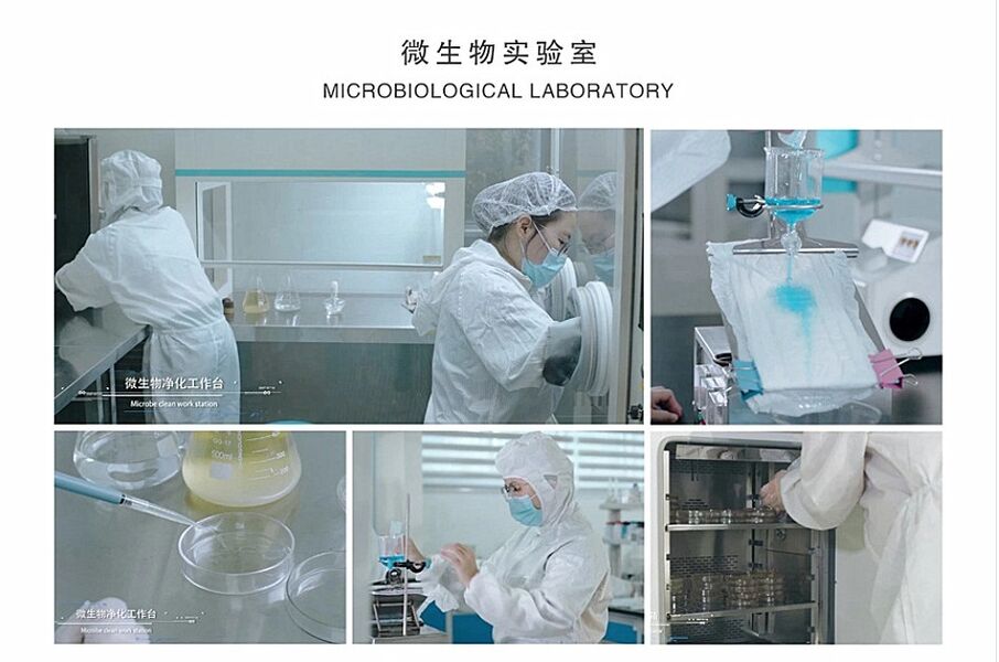 Beyasun Industrial Co.,Ltd 製造者の生産ライン