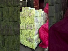 ユニコンセントのおむつ