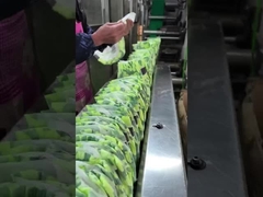 uniconcern 柔らかいベビーパイン